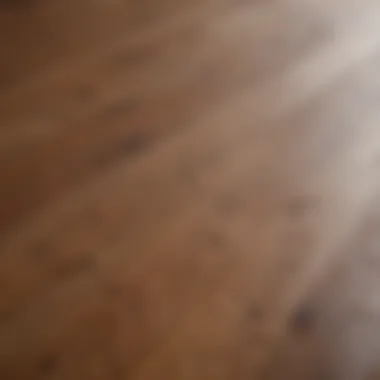 Close-up of a wooden floor showcasing its texture and finish