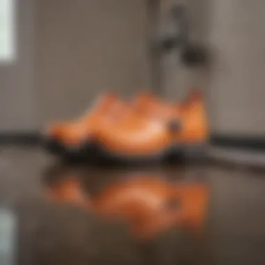 Illustration of clog prevention techniques using various household materials.