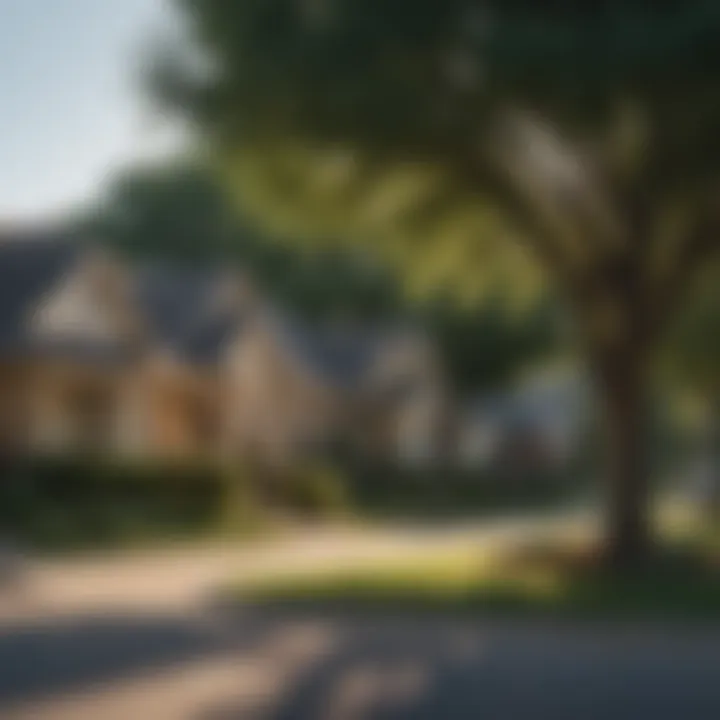 A serene suburban neighborhood with trees and well-maintained homes