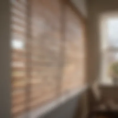 Close-up view of clean horizontal blinds with sunlight filtering through