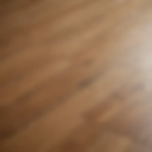 Close-up of gleaming oak floor showcasing natural grain patterns