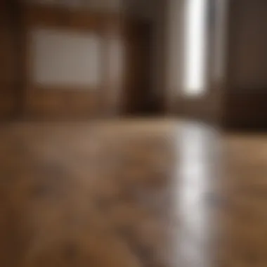 Transformative Floor Restoration Before-and-after comparison of oak floor restoration
