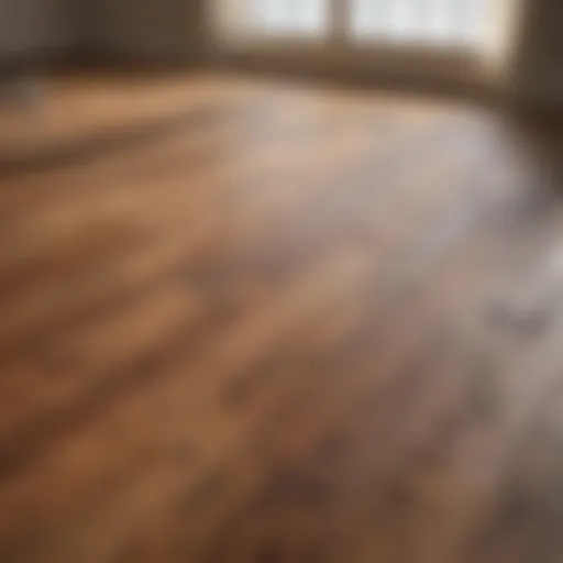 Before and after cleaning wood floors