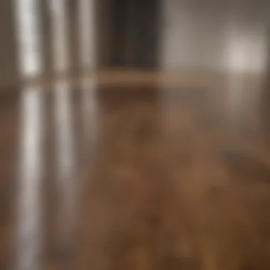 Cleaning solutions for wood floors