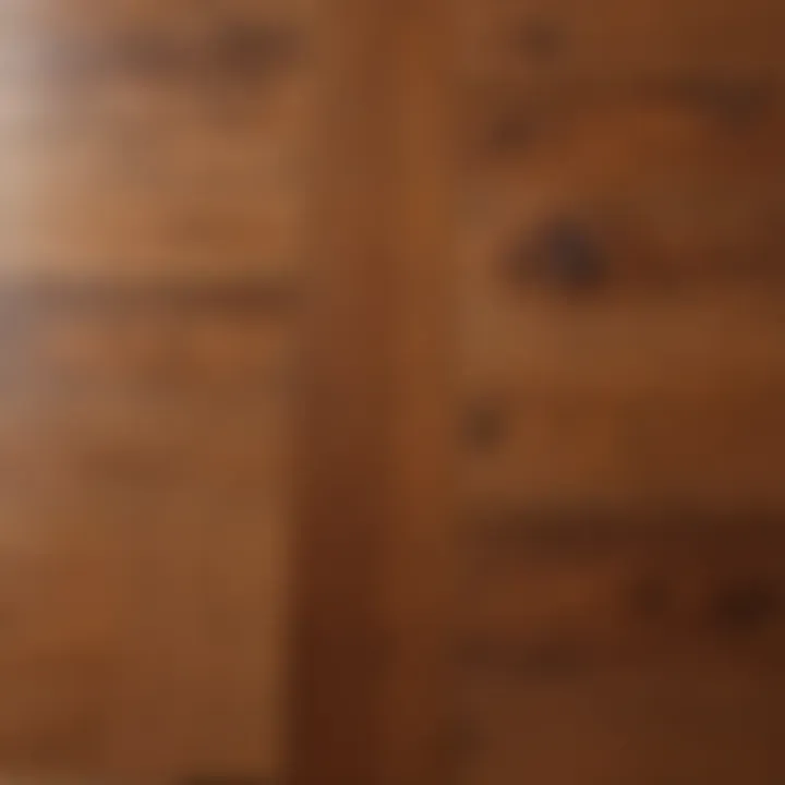 Close-up of a hardwood floor showing various stains