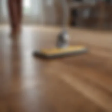 Applying a Cleaner to Laminate Wood Floors Applying a cleaner to laminate wood floors