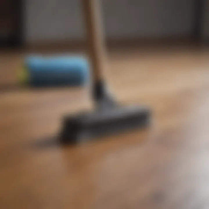 Close-up of cleaning supplies for wooden floors