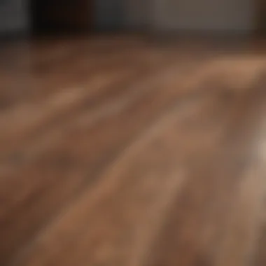 Glossy Finish of Laminate Flooring Close-up view of laminate flooring with a glossy finish