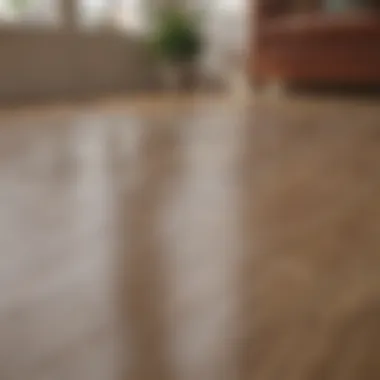 Preventive Measures for Laminate Flooring Diagram illustrating preventive measures for laminate flooring
