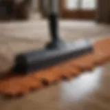 Cleaning equipment for shaggy rugs