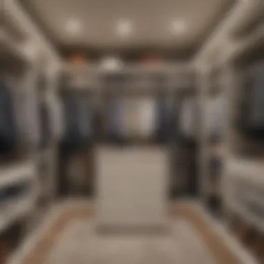 Meticulous Closet Management Organized closet with labeled bins and neatly hung garments