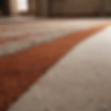 The Transformative Effects of Deep Cleaning A pristine carpet after deep cleaning