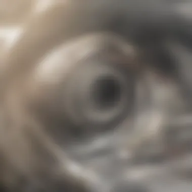 Advantages of Regular Dryer Vent Maintenance Benefits of maintaining a clean dryer vent
