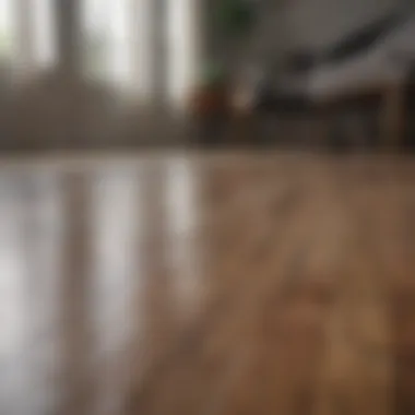 Natural Cleaning Solutions for Laminate Floors Natural cleaning solutions in bottles