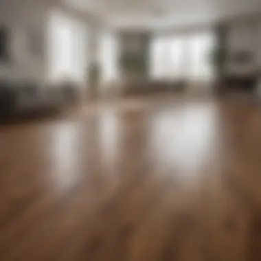 Demonstrating proper cleaning technique on laminate flooring