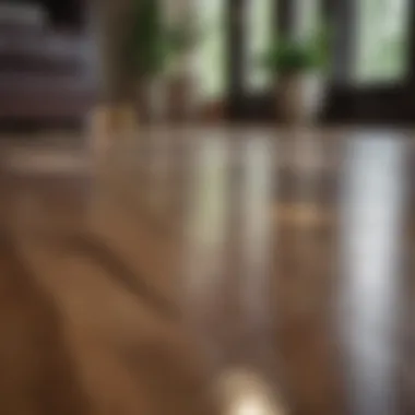 Natural cleaning solution for hardwood