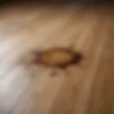Close-up of a coffee stain on a wood floor