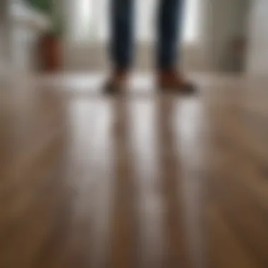 Person applying cleaning solution to laminate floor