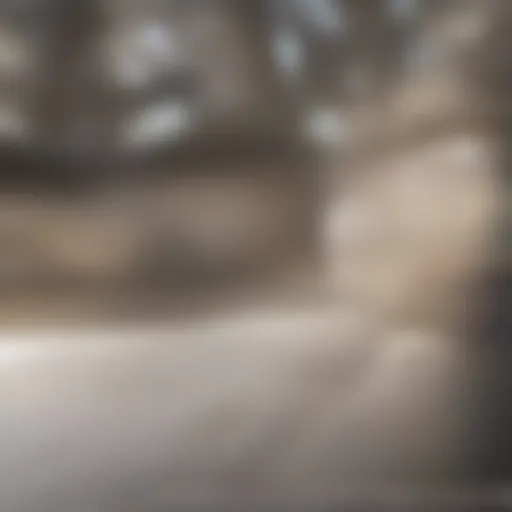 Close-up of a hardwood floor with visible dust particles