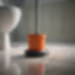 A plunger in action, clearing a clogged toilet