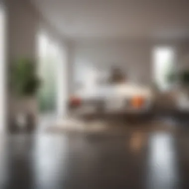 Spotless Living Space Neat apartment showcasing cleanliness