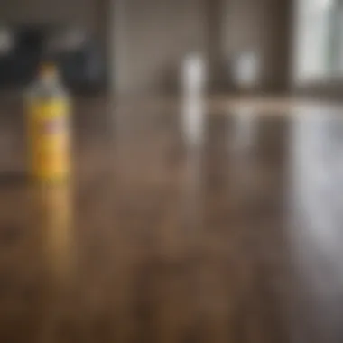 Variety of cleaning products suitable for laminate floors