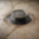 A close-up view of a clogged shower drain with hair and soap residue