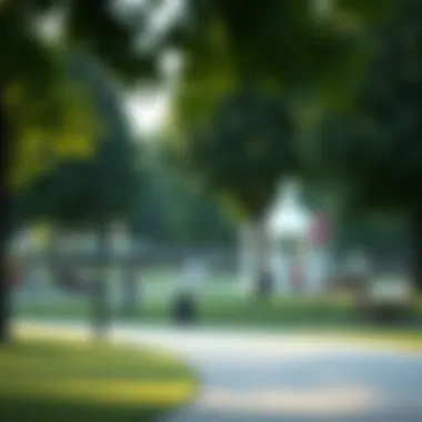 Parks and Recreation in Affordable Cities A picturesque park filled with families enjoying recreational activities