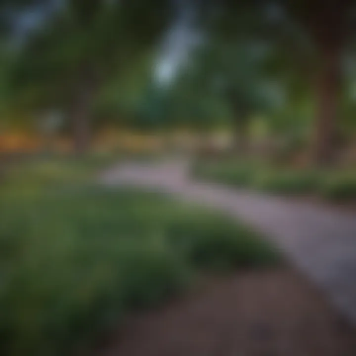 Vibrant neighborhood park in Cherry Creek