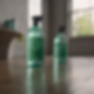 Eco-Friendly Cleaning Supplies Eco-friendly cleaning supplies
