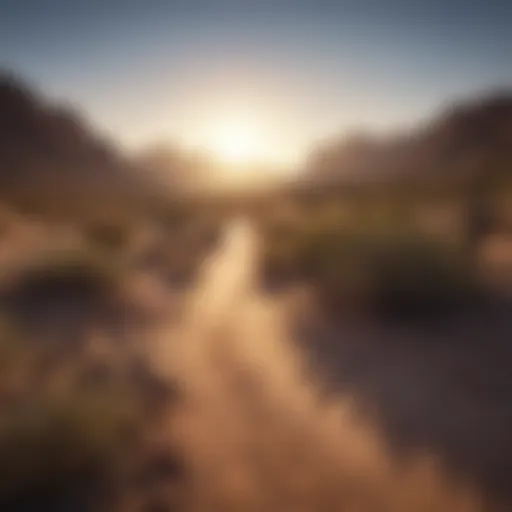 A breathtaking desert landscape showcasing the natural beauty of Arizona's wilderness.