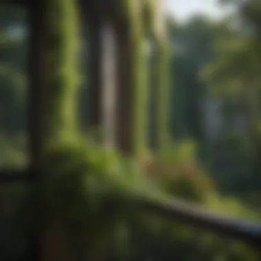 Scenic view of Lincoln Park's lush greenery from a balcony