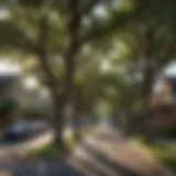 A scenic view of a tree-lined street in a vibrant Austin neighborhood