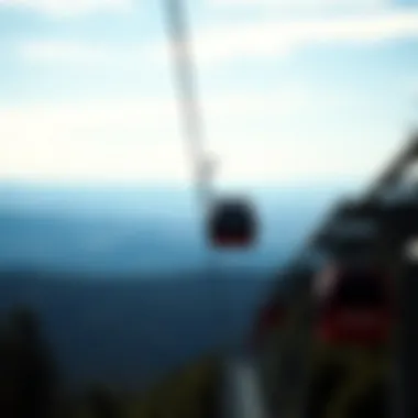 Scenic landscape visible from the Sky Tram, highlighting the surrounding nature