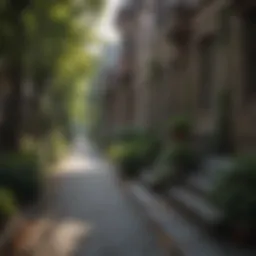 Charming residential street in Chestnut Hill showcasing unique architecture