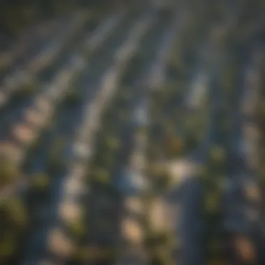 Aerial view of a picturesque neighborhood near Dallas