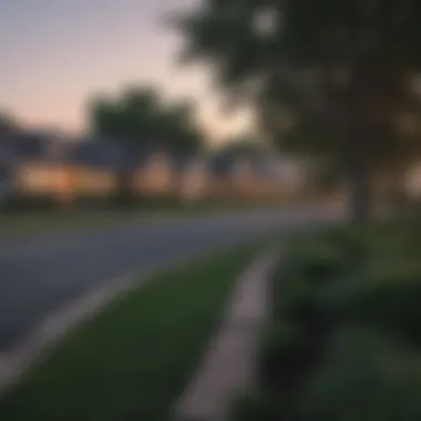 A scenic view of a suburban neighborhood in Dallas