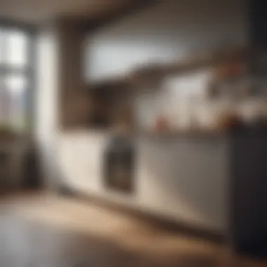 Efficient Kitchen Designs for Small Spaces Functional kitchen layout in a one-bedroom apartment