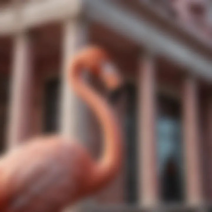 Close-up of The Flamingo's architectural details, highlighting its unique design elements.