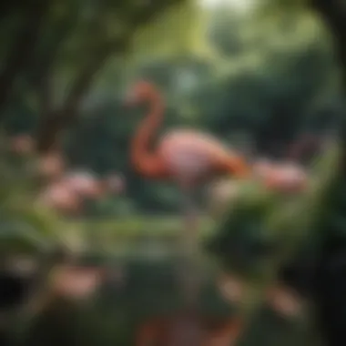 Ecological Role of The Flamingo Ecological scene featuring The Flamingo within its naturalistic environment in Hyde Park.