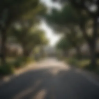 A serene suburban street lined with trees and homes