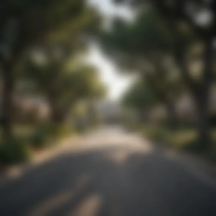 A serene suburban street lined with trees and homes