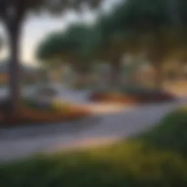 Vibrant community park in a San Antonio suburb