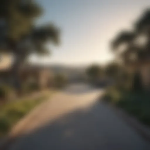 A scenic view of the suburban landscape surrounding San Antonio