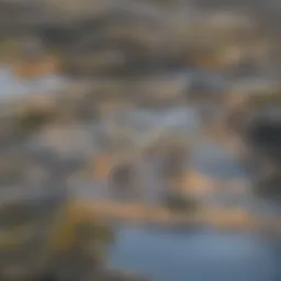 Stunning skyline view showcasing diverse property types.