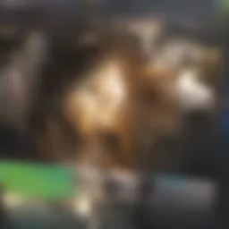 Cozy one-bedroom apartment interior