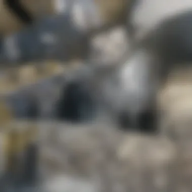 Variety of wall types