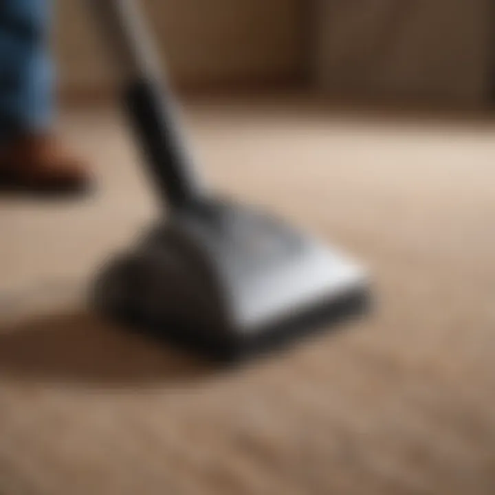 Essential tools for carpet maintenance