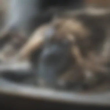 Using a Plunger on a Sink Using a plunger on a sink