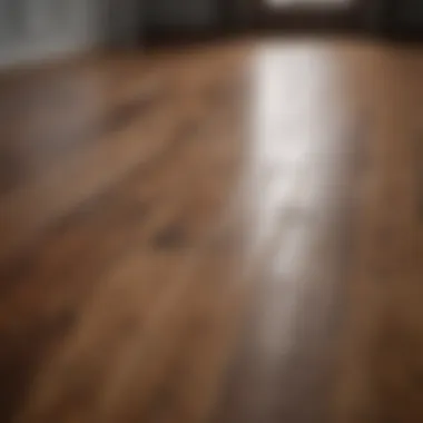 Effectively Applying Stain Remover on Wood Floors Applying stain remover to wood floor
